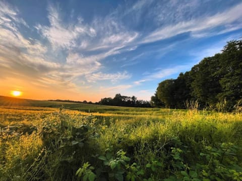 Region [summer] (>5 km)