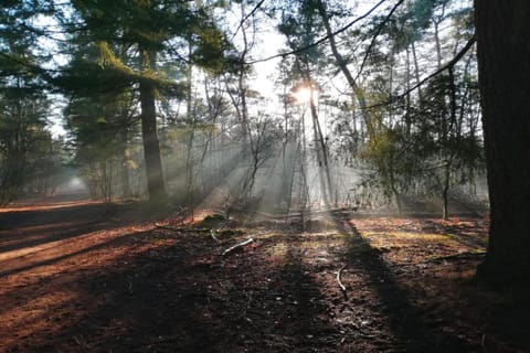 Surroundings [summer] (1-5 km)