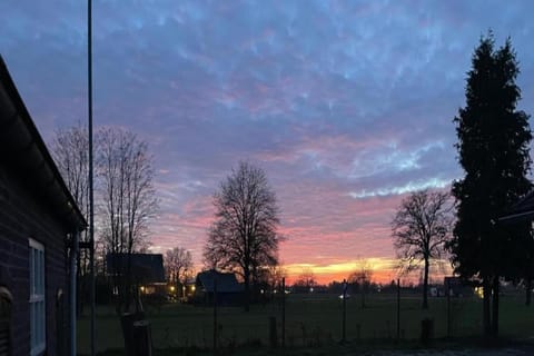 Region [summer] (&gt;5 km)