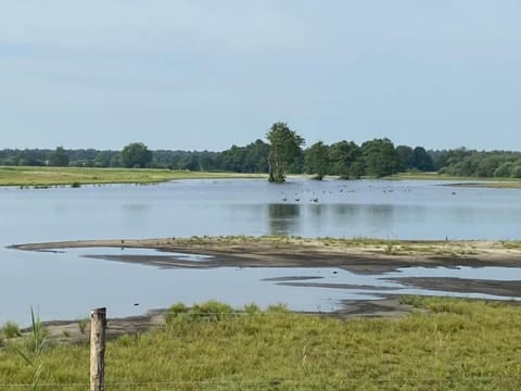 Region [summer] (>5 km)