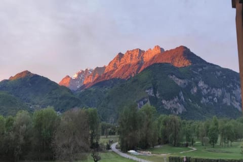 Region [summer] (&gt;5 km)