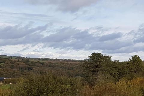 Region [summer] (>5 km)