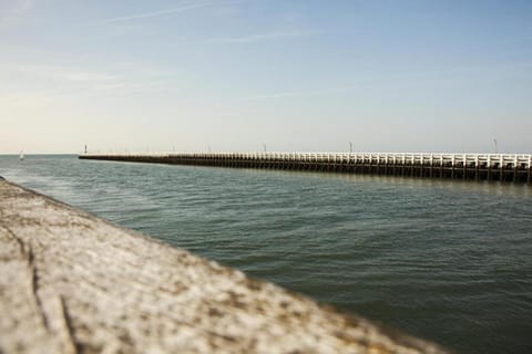 Region [summer] (&gt;5 km)