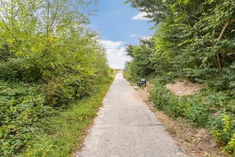 Immediate Surroundings [summer] (&lt;1 km)