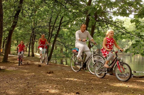 Immediate Surroundings [summer] (&lt;1 km)