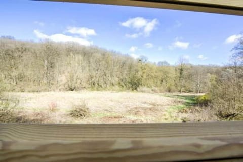 Region [summer] (>5 km)