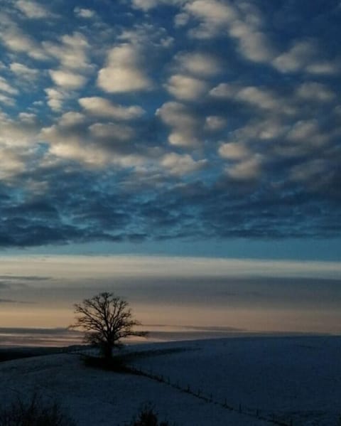 Region [summer] (&gt;5 km)