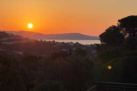 Immediate Surroundings [summer] (&lt;1 km)