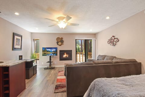 Studio living room with Smart TV, gas fireplace, dining area and murphy bed