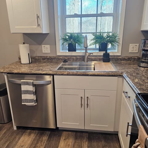 Dishwasher & sink with garbage disposal