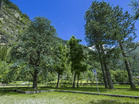 Tree, Mountainous Landforms, Mountain, Hill, Mountain Range, Hill Station, Forest, Valley, Larch, Evergreen