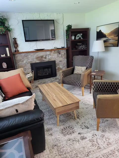 Living room with fireplace, multi theme packs for Optic TV. High speed internet.