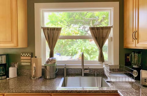Kitchen window looks into garden