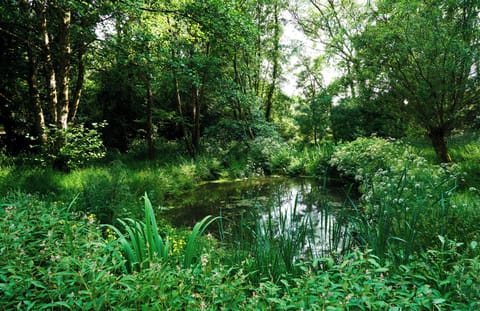 Stroll down to the 'big' pond and immerse yourself in nature.
