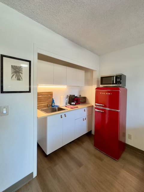 Kitchenette with sink, all in one griddle coffeepot and toaster oven, microwave, & studio fridge.