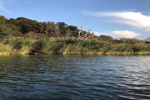 Immediate Surroundings [summer] (<1 km)