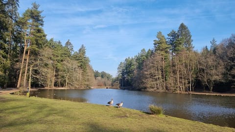 Walk to nearby Mallard's Pike for a rewarding view