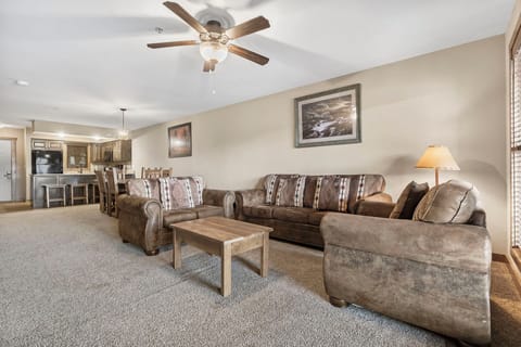 One Bedroom Condo Living Room - Queen Size Sofa Bed