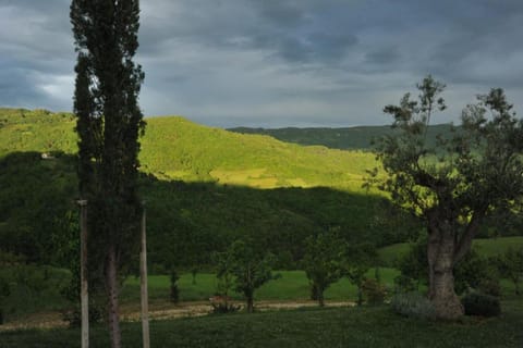 Region [summer] (&gt;5 km)