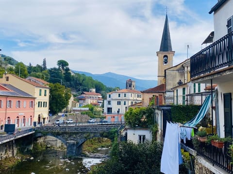 Wood Stain, Houseplant