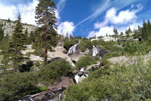 Hike trails to enjoy local waterfalls.