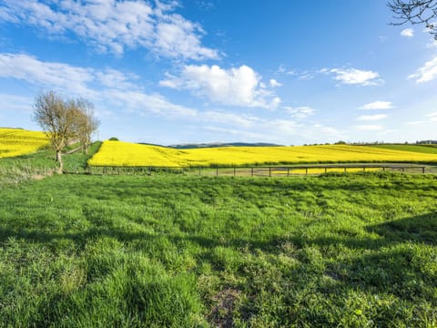 View | Newbigging Farm Cottage, Auchterarder