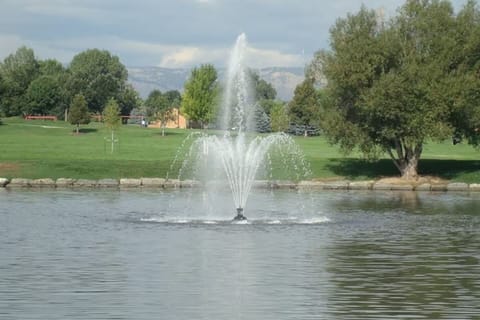 O'Kane Park is within walking distance. Geese, playground, walking path, etc.