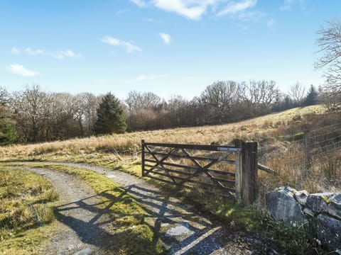 Surrounding area | Aberserw Cottage, Dolgellau and Coed y Brenin Forest Park