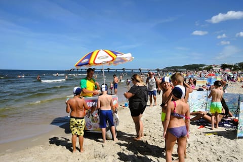 Immediate Surroundings [summer] (<1 km)