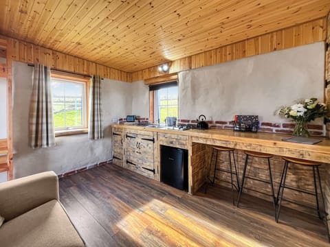 Kitchen | Willow Bale Cabin - Straw Bale Cabins, Dallas