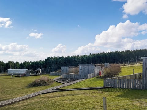 Outdoor | Honeysuckle Bale Cabin - Straw Bale Cabins, Dallas