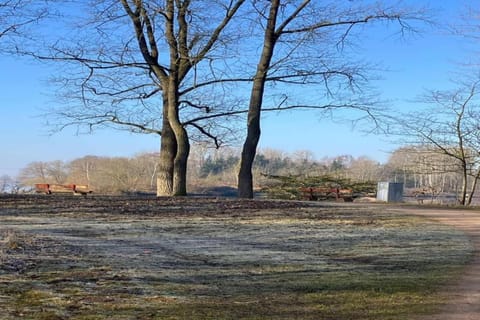 Region [summer] (&gt;5 km)