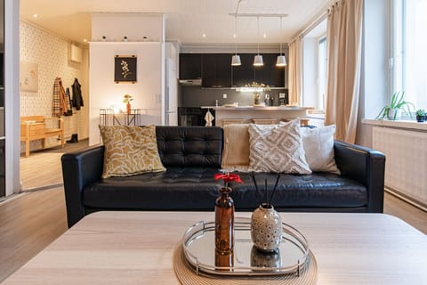 Apartment sofa (not a bed sofa)