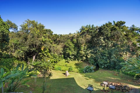 Property sits on a beautiful ½ acre lot with papaya, banana, and