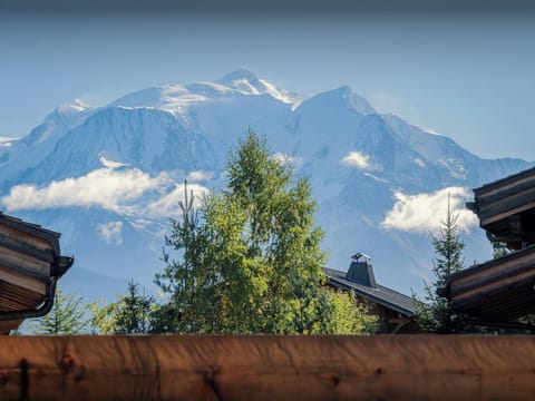 View over Mont Blanc
