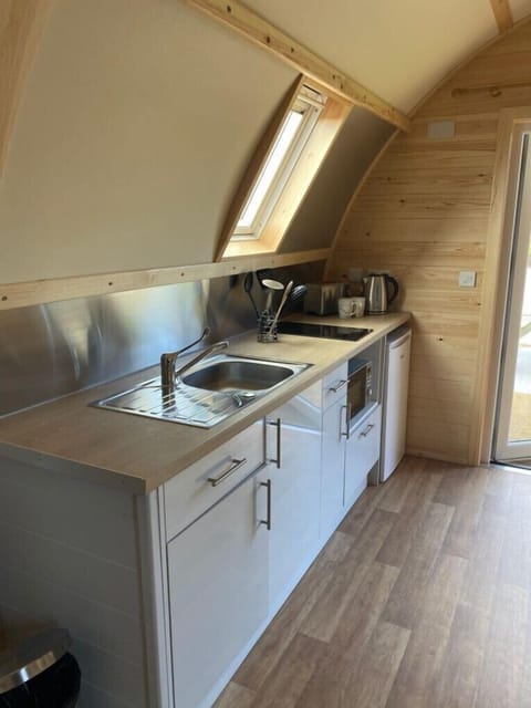 Kitchen area- Superior Deluxe Accessible cabin