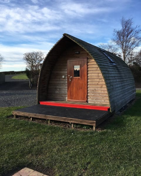 Dog friendly standard cabin