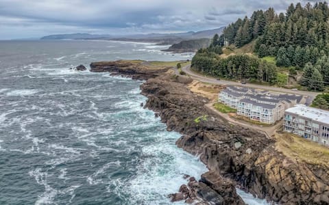 Whales and Waves-130