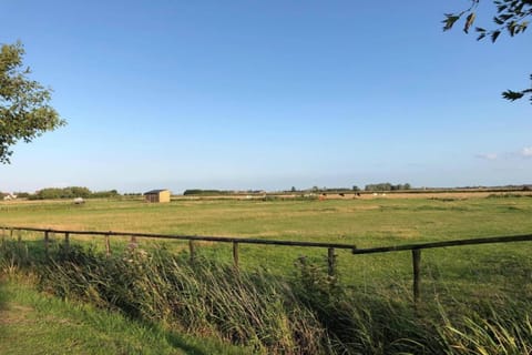 Region [summer] (>5 km)