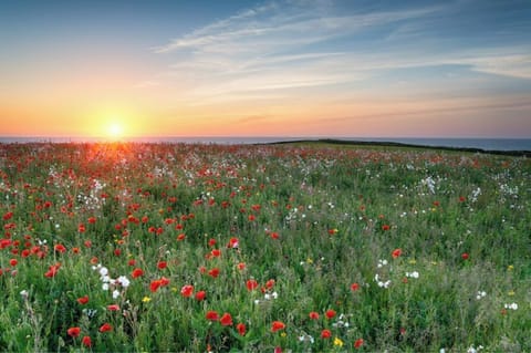 West Pentire headland