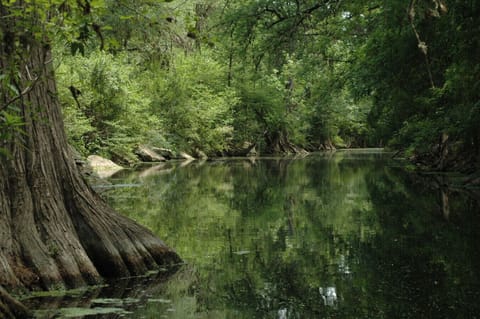 Boerne River Park is right across the street