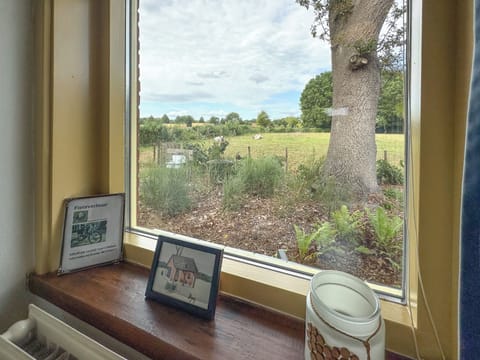 View from Holiday Home [summer]