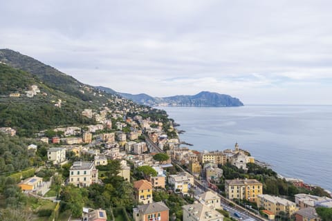 Autumn, Outdoor, Spring, Summer