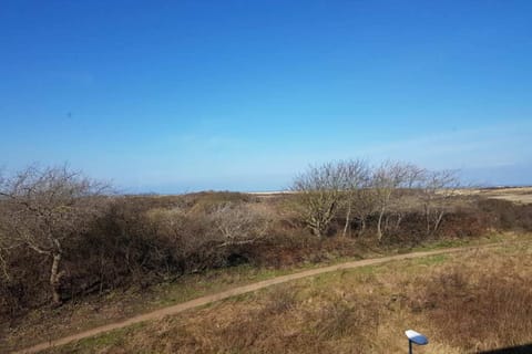 Surroundings [summer] (1-5 km)