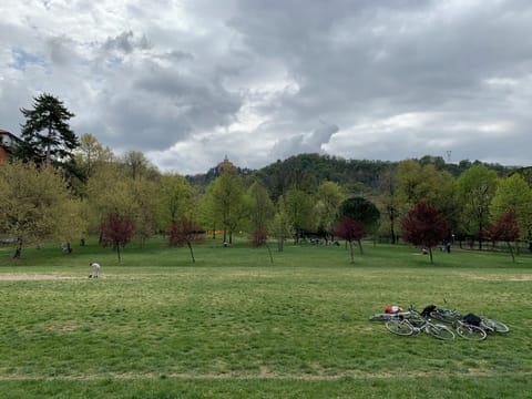 Miscellaneous