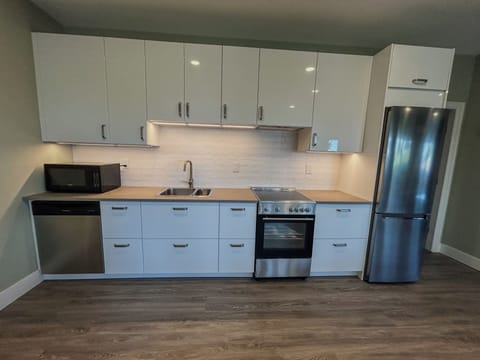 New kitchen with ample storage, dishwasher, convection range, and fridge.
