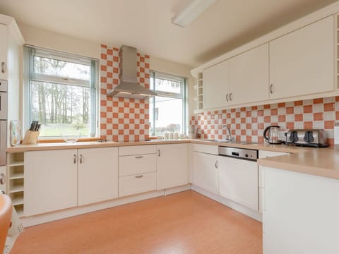 Kitchen, Flooring, Interior Design, Countertop, Cabinetry, Ceiling, Floor, Tile, Room, Apartment