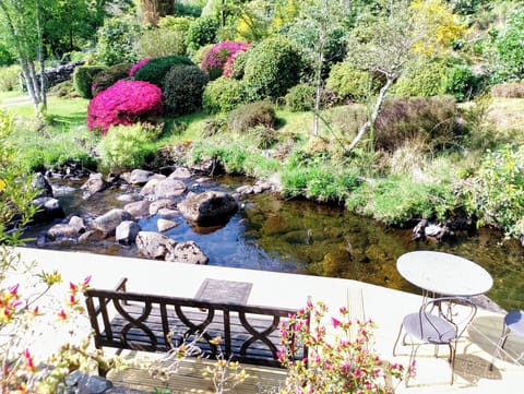 Decking  and view to other side of the river