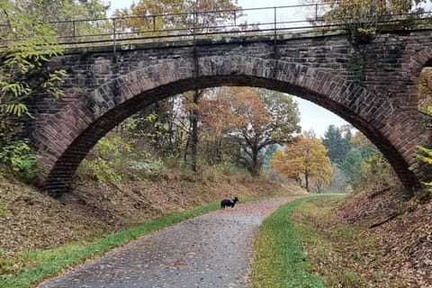 Region [summer] (>5 km)