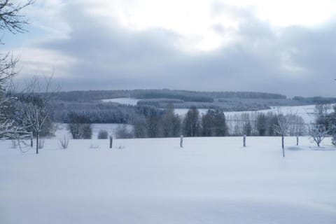 Region [winter] (>5 km)